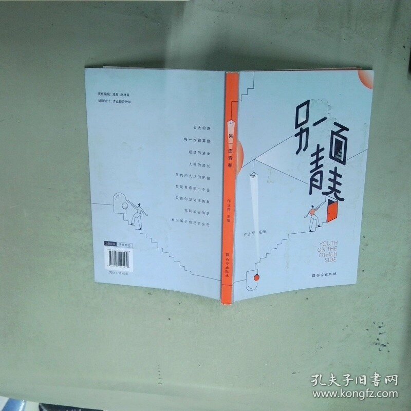 作业帮另一面青春青春励志文学谁的青春不迷茫21个故事教你直面困惑  作业帮  编 西安出版社