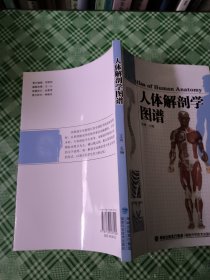 人体解剖学图谱