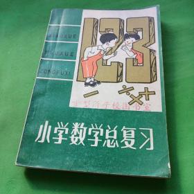 小學(xué)數(shù)學(xué)總復(fù)習(xí) 倫厚棋 李家麟
