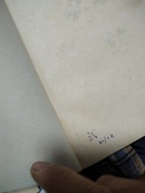 秋海棠