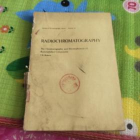 RADIOCHROMATOGRAPHY
放射色谱法
《放射标记化合物的色谱法和电泳法》