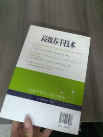 高效养羊技术