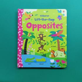 学反义词 英文原版 Usborne Lift-the-flap Opposites 纸板翻翻书 亲子互动 英语学习单词书 低幼图解词典 尤斯伯恩