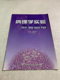 病理学实验彩色图谱