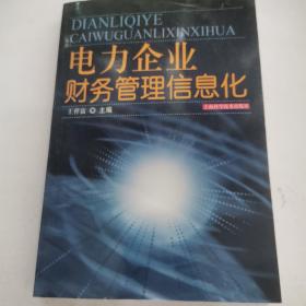 电力企业财务管理信息化