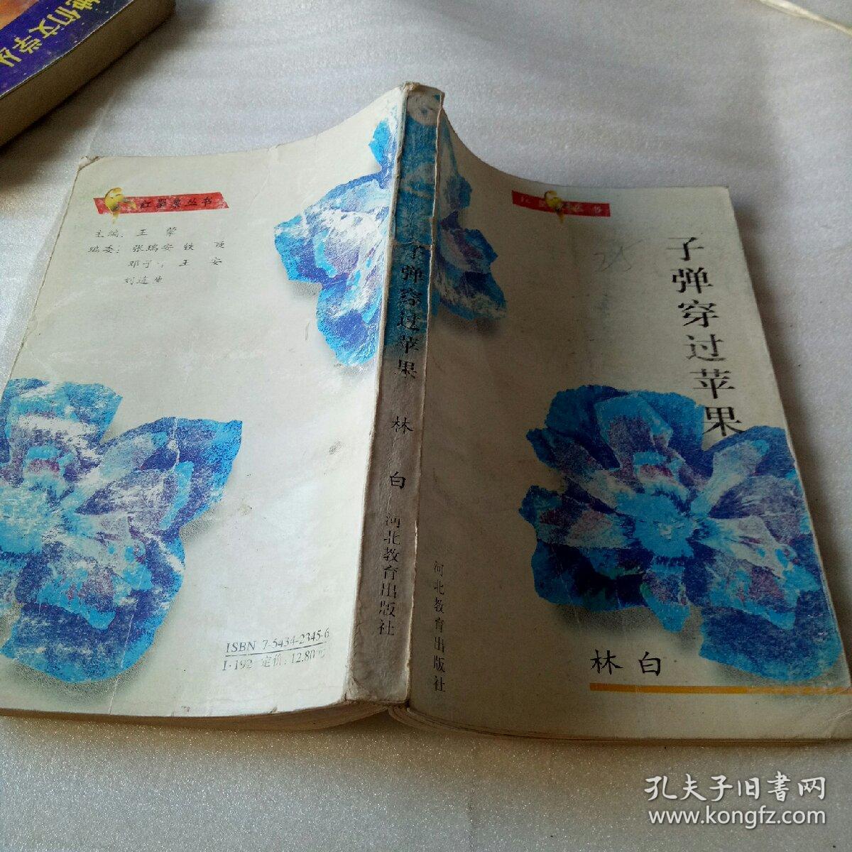 红罂粟丛书—子弹穿过苹果（小说集）