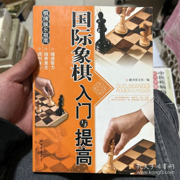 棋牌娱乐指南：国际象棋入门与提高