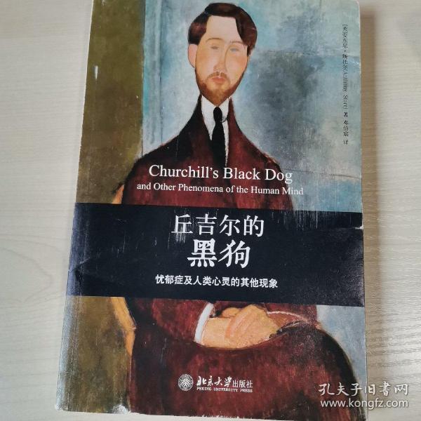 丘吉尔的黑狗：忧郁症及人类心灵的其他现象