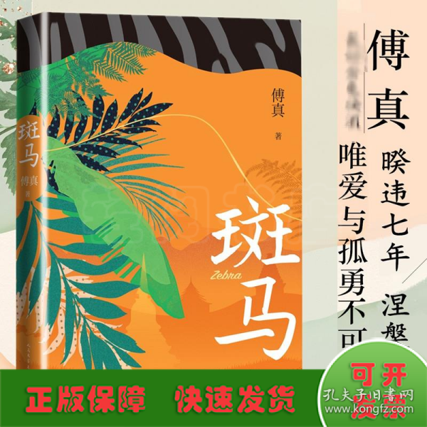 斑马（傅真2022年全新力作，从北京到曼谷，跨越三千二百公里的治愈之旅）