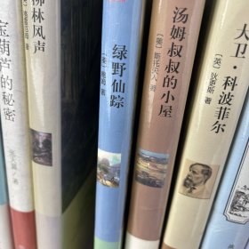 绿野仙踪（名家名译）