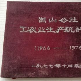 嵩山公社工农业生产（布表）