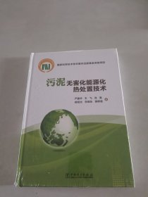 污泥无害化能源化热处置技术（精装）