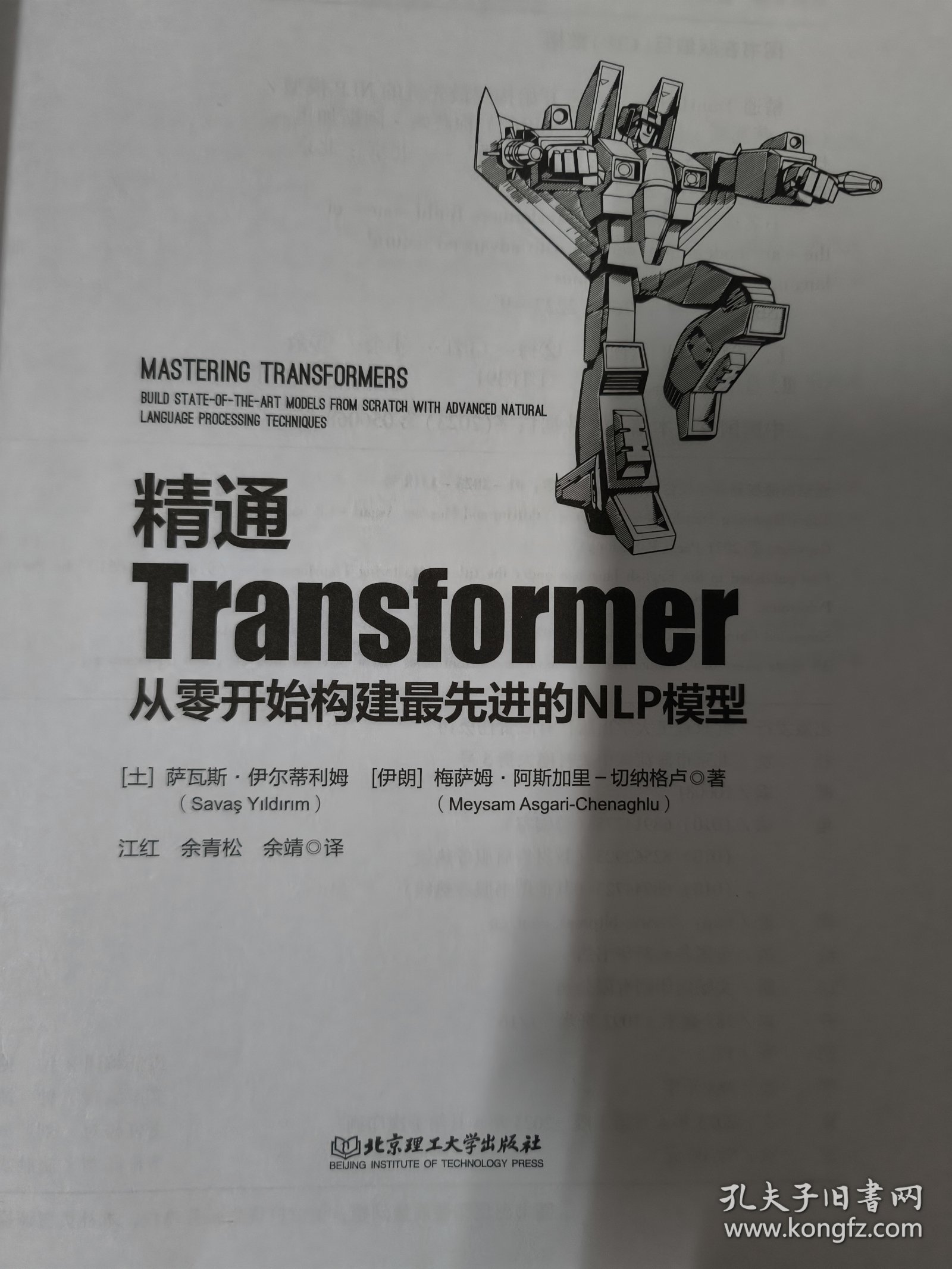 精通Transformer:从零开始构建最先进的NLP模型