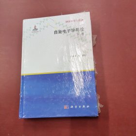 纳米科学与技术：自旋电子学导论（下卷）