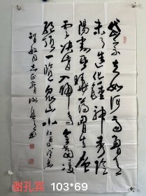 谢孔宾，字卓伦，号明心斋主，菏泽学院教授，书法家，书法教育家。 1930年出生于山东单县浮岗镇王堂村。现任山东省高校书画家协会常务理事，菏泽市书协副主席，中国书法家协会会员。在任高校书法教育课十几年中，有《书法教程》、《中国书法原理》、《谢孔宾书法集》、《怎样写章草》等专著问世，多次发表书法论文，文学作品。尺寸：103*69