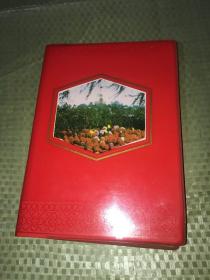 祖国风光塑料日记本（未使用）