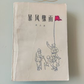 暴风骤雨 （农村版）