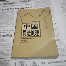 中国民法原理