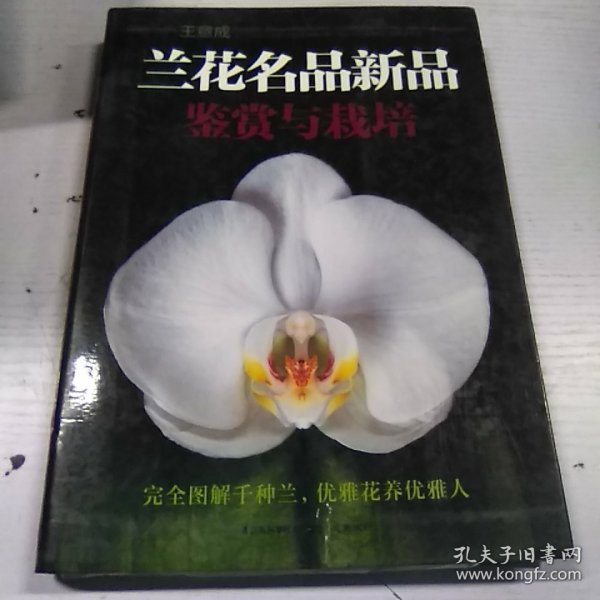 兰花名品新品鉴赏与栽培