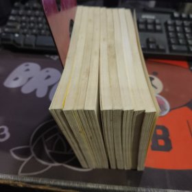 找对方式爱自己.成功人生DIY（一版一印）