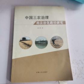 中国三农治理的法治化路径研究