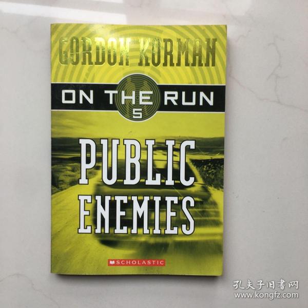 PublicEnemies(OntheRun,Book5)《奔逃》系列第五本：大众公敌