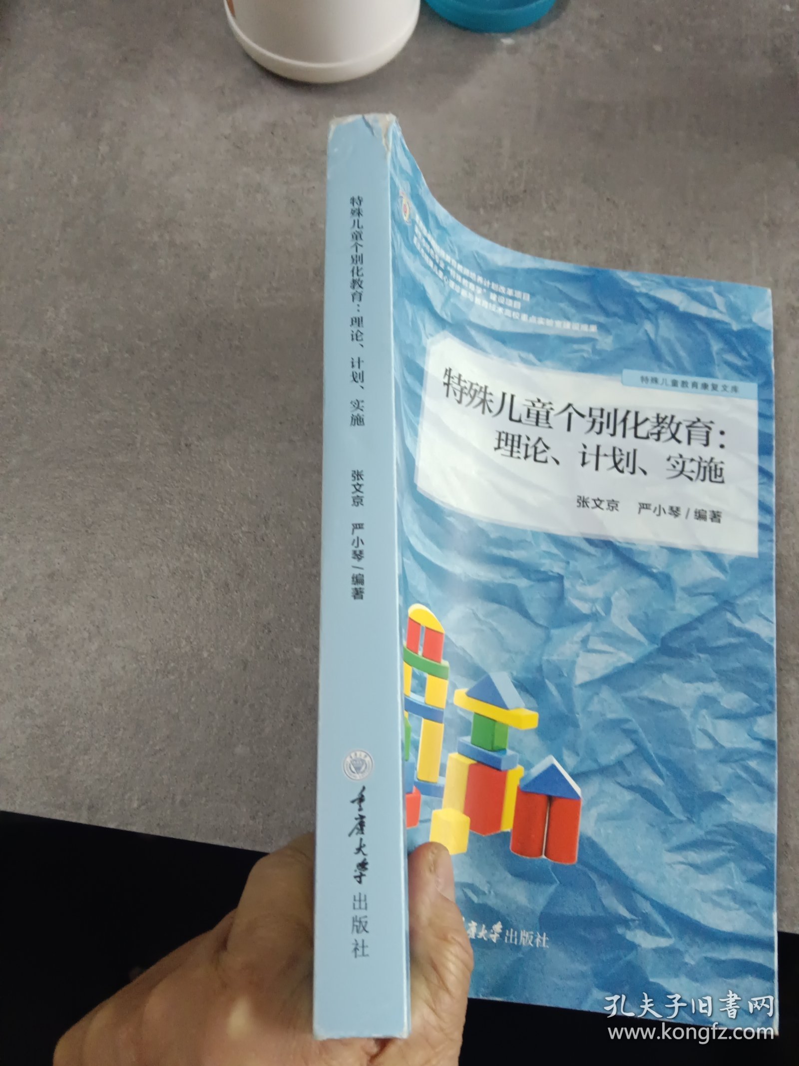 特殊儿童个别化教育： 理论、计划、实施