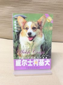 威尔士柯基犬