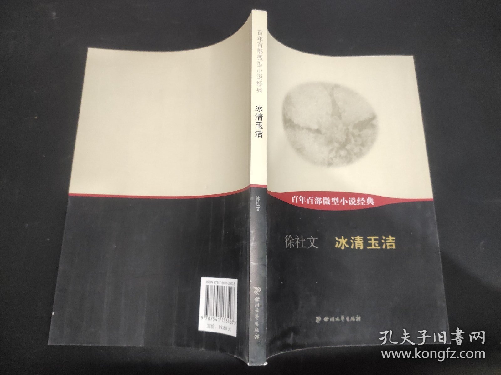 百年百部微型小说经典：冰清玉洁