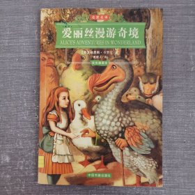 爱丽丝漫游奇境：名家名译 彩色插图本