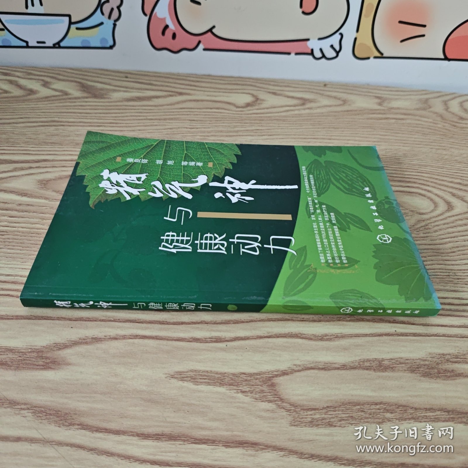 精气神与健康动力