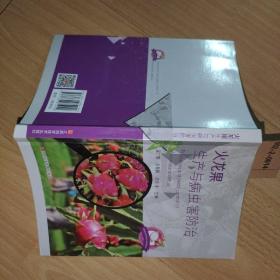火龍果種植技術(shù)書籍 火龍果生產(chǎn)與病蟲害防治