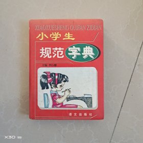 小学生规范字典