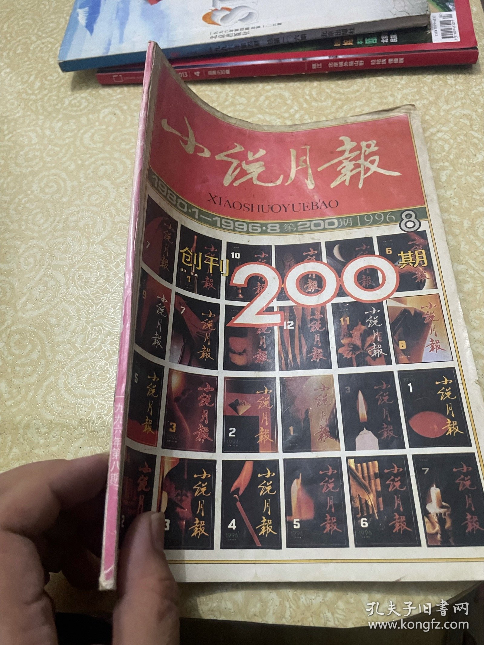 小说月报 1996年第8期