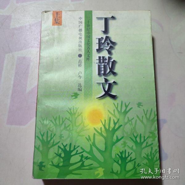 丁玲散文(上下)