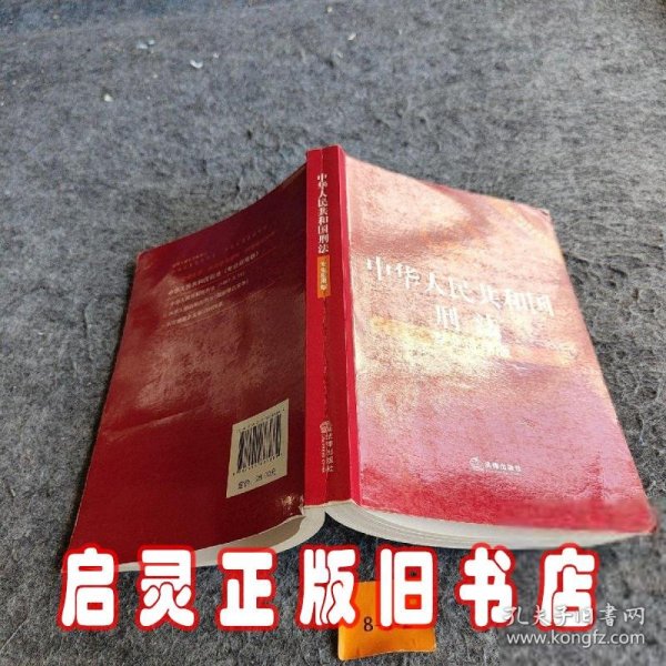中华人民共和国刑法（专业应用版）