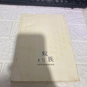 蚁族：大学毕业生聚居村实录