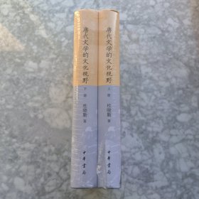 唐代文学的文化视野（全2册）