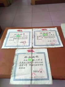 同一人毕业证书3张：1974年五年级、1976年初中、1978年高中