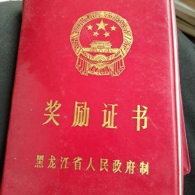 80年代奖励证书