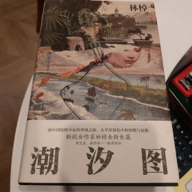 潮汐图（新锐女作家林棹全新长篇）