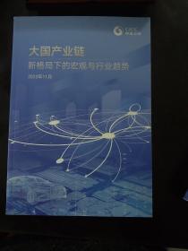 大国产业链  新格局下的宏观与行业趋势  2022年11月