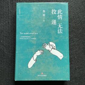 此情无法投递（苏童、李敬泽、孟繁华联袂推荐。“鲁敏站在中国小说艺术的前沿。”）