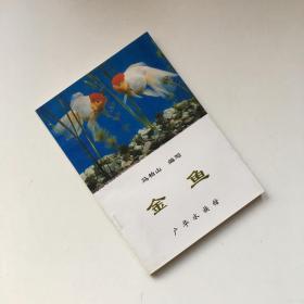 金鱼 广华水族馆