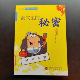 青少年原创文学丛书 洞穴里的秘密