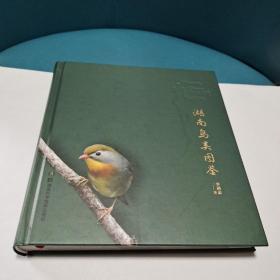 湖南鸟类图鉴（正版现货，品佳）