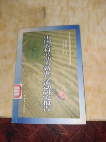 中国农村劳动力就业与流动研究报告