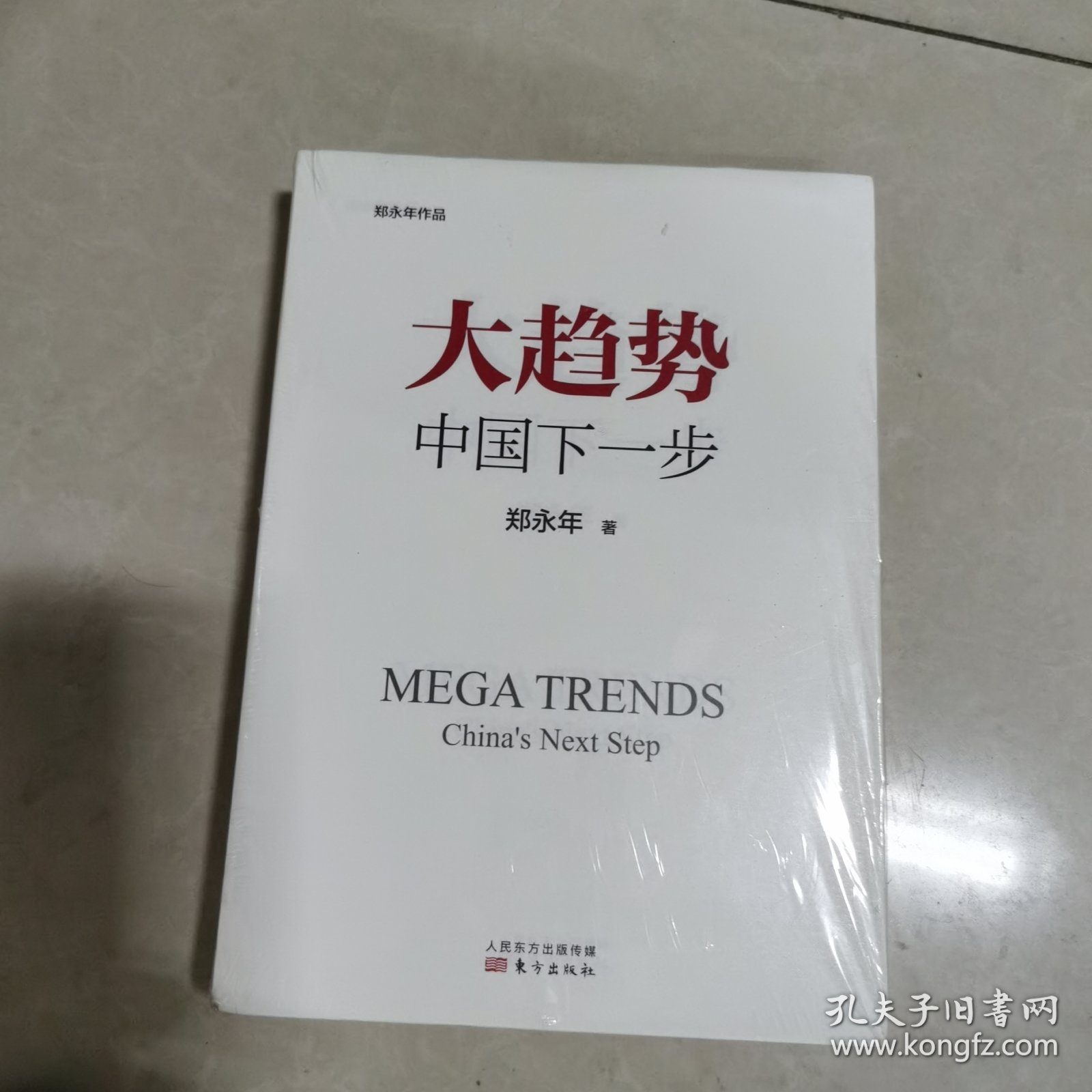 大趋势 中国下一步