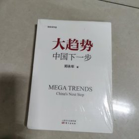 大趋势 中国下一步