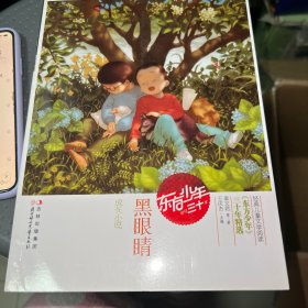 黑眼晴（成长小说）东方少年创刊三十年